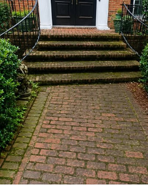 Brick steps and walkway, before cleaning
